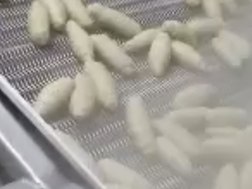 自动煮锅-自动捞起